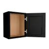 Craftsman Black Shaker Wall Cabinet 18"W x 18"H Questions & Answers