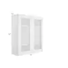 Colorado Shaker White Wall Open Frame Glass Door Cabinet 36"W x 42"H Questions & Answers