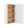 Wall Cabinet 21" x 42" Questions & Answers