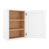 Wall Cabinet 21" x 30" Questions & Answers