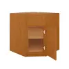 Diagonal Corner Sink Base Cabinet 36" Questions & Answers