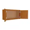 W3318 - Wall Cabinet 33" x 18" Questions & Answers
