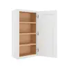 Wall Cabinet 21" x 42" Questions & Answers